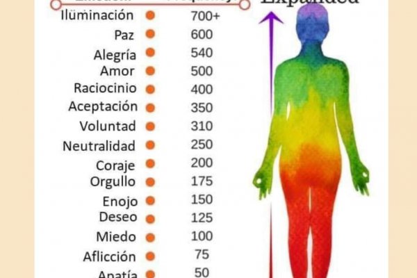 Tus frecuencias vibratorias crean tu realidad