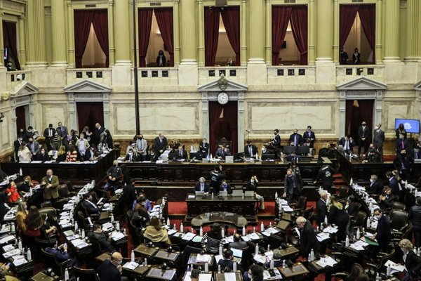 Colocarán el primer cuadro de una mujer en la Cámara de Diputados