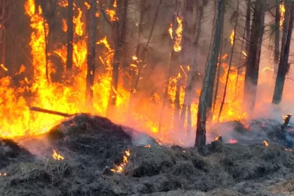 Informan sobre las acciones preventivas para evitar incendios