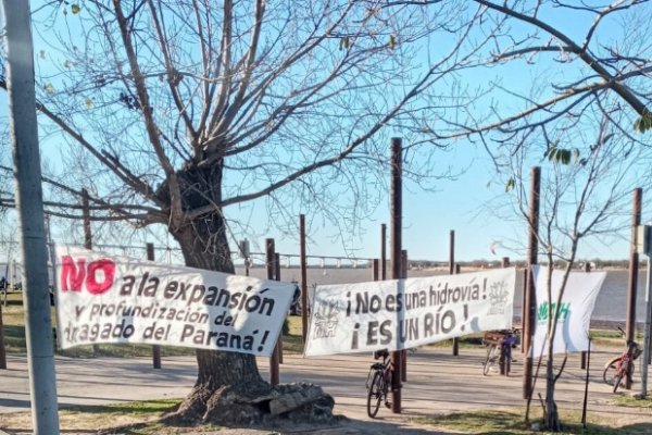 Cuidar el Paraná, cuidar humedales