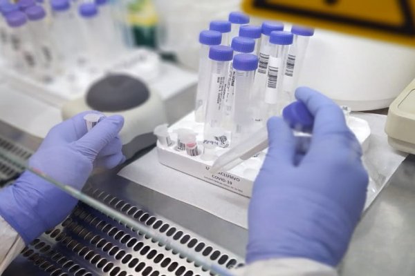 Corrientes detectó 598 casos de Coronavirus: 265 son de Capital