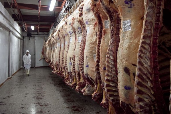 Exportaciones de carne argentina cayeron 41% y Uruguay aprovechó para crecer