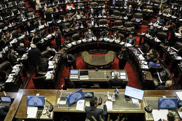 Más de 50 diputados y cinco senadores buscarán renovar sus bancas en las próximas legislativas