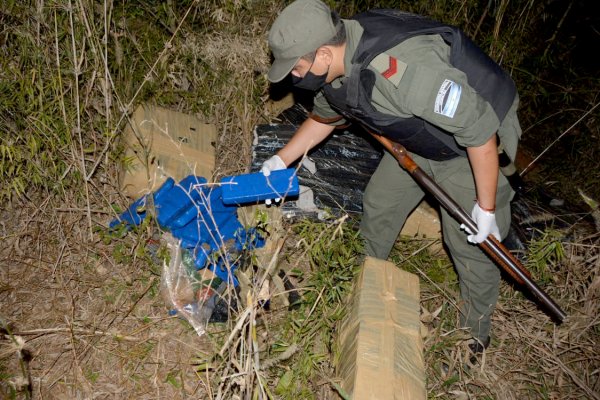 Decomisan  335 kilos de marihuana escondidos entre la maleza