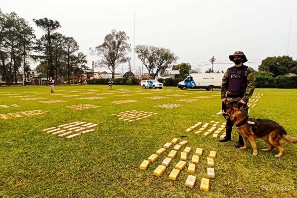 Prefectura secuestró más de una tonelada de marihuana