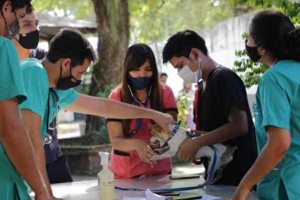 La UNNE monitoreará el impacto de la pandemia en actividades académicas