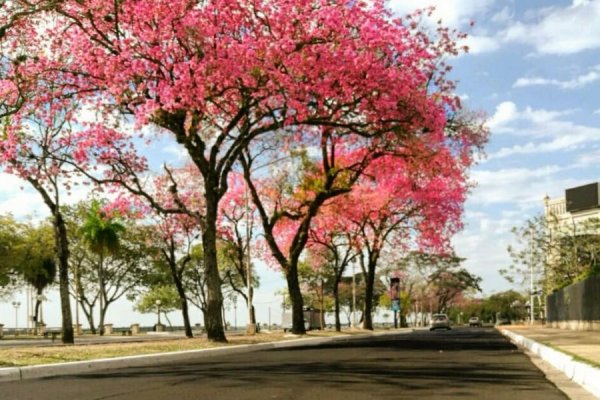 Se espera un día sin lluvias y 23 grados de máxima en Corrientes