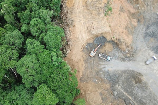 El río, el bosque y la ceguera