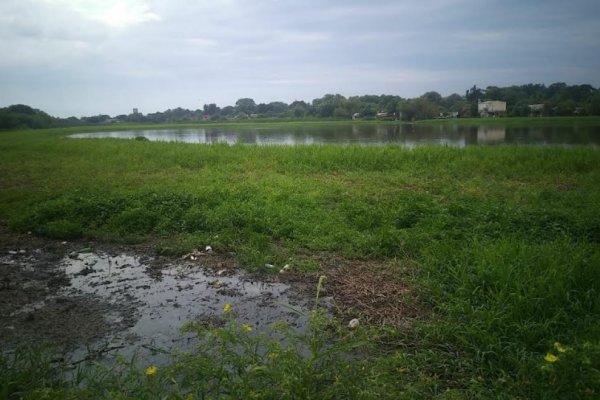 Evaluaron la situación ambiental de la principal laguna de Resistencia