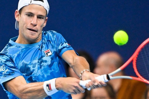 Diego Schwartzman perdió con Sinner y no pudo quedarse con Amberes