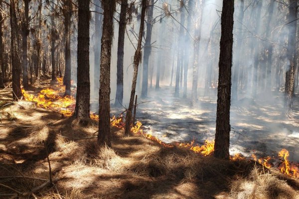 Nueve localidades de Corrientes en peligro de incendios forestales