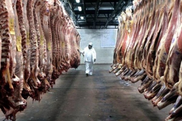 Razones y sinrazones del aumento de la carne