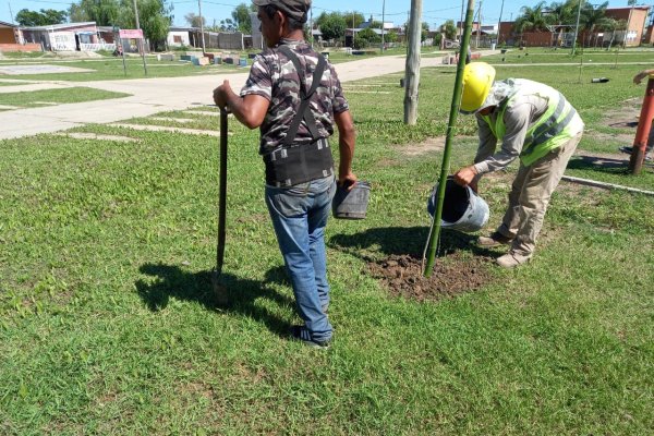 Plan de arborización urbano en barrio La Olla con participación vecinal