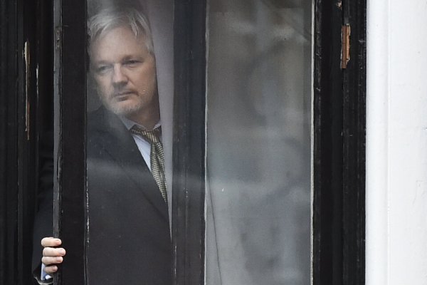 Julian Assange: indignante y doloroso