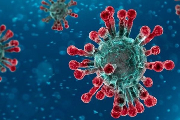 Qué significa que el coronavirus pase de pandemia a endemia