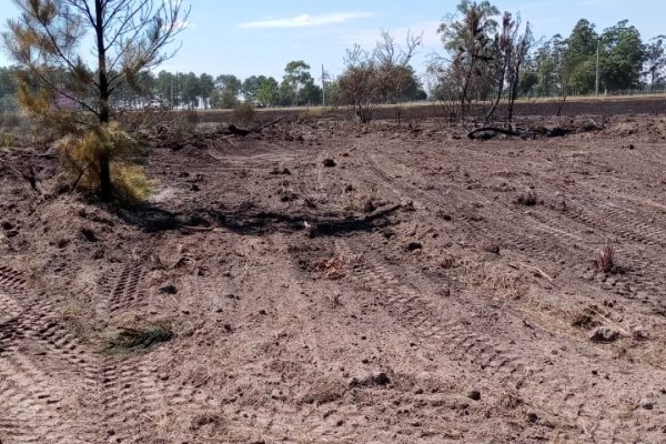 Lograron evitar que el fuego avance sobre el Parque Industrial y el Puerto