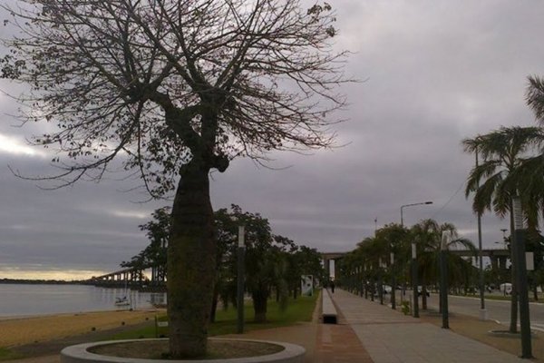 Día gris y elevada humedad en Corrientes