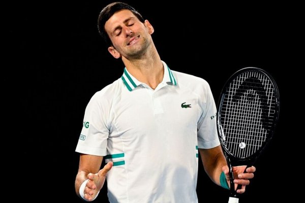 La náusea, Djokovic y el liberalismo de los necios