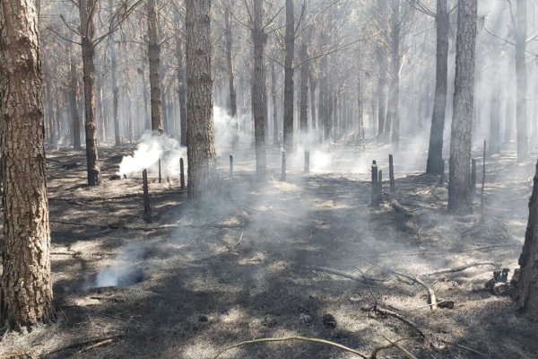 Valdés declaró la Emergencia Ígnea en todo el territorio provincial