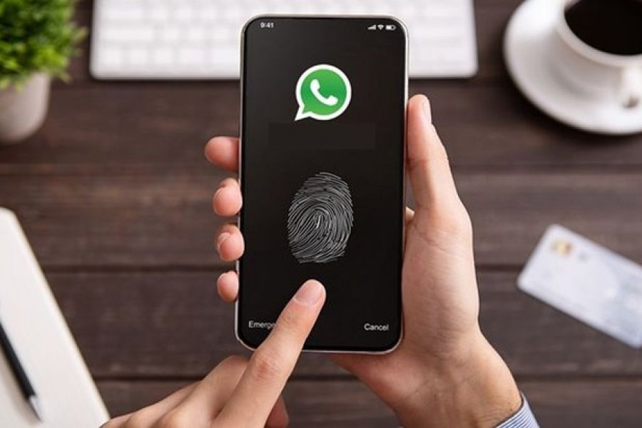 Whatsapp Cómo Activar La Nueva Cámara Secreta Y Pasar Desapercibo Corrientes Hoy 6412