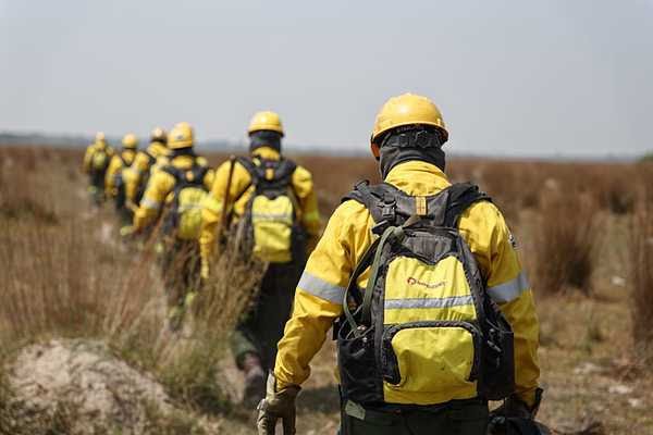 Nación asumió la necesidad de trabajar unidos para combatir el fuego