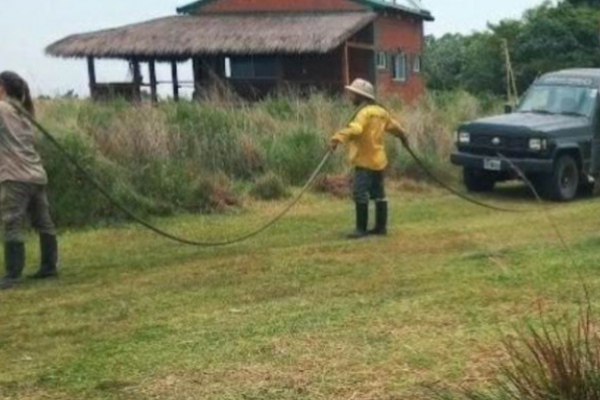 Vi personas luchando contra el fuego como si fuera su propia casa