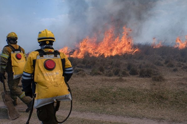 Brigadistas de distintas provincias luchan contra el fuego en Corrientes