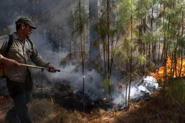 Estiman en más de $ 26.000 millones las pérdidas por los incendios en Corrientes