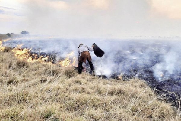 Entre la guerra y los incendios