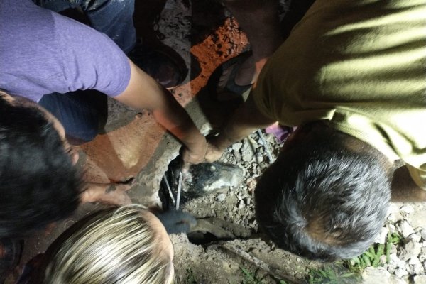 Corrientes: Bomberos rescataron a un perro que quedó atrapado en una alcantarilla