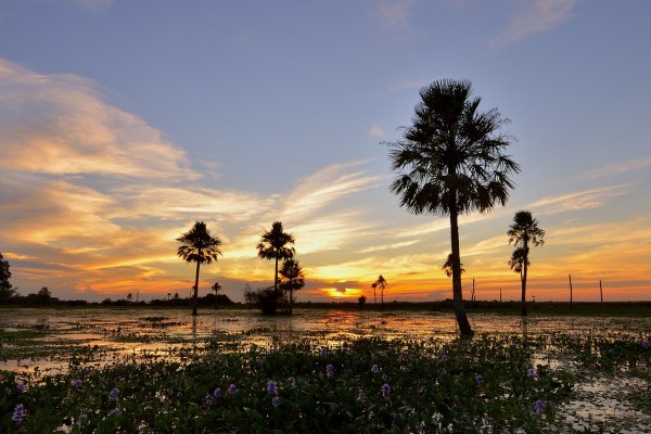 Máxima de 24 ºC para este martes en Corrientes