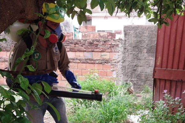 Dengue: nuevo llamado a la población para que refuerce la prevención