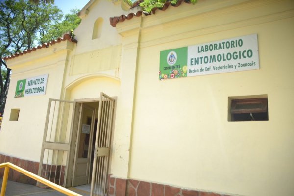 Salud mantiene la vigilancia activa y realiza evaluaciones en el laboratorio entomológico