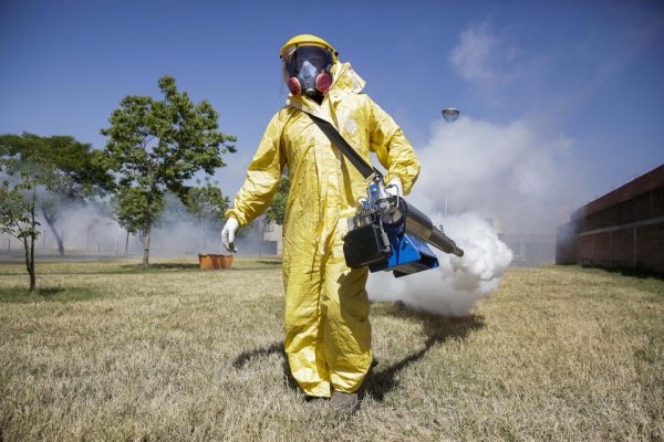 La curva de casos de dengue en el país cae por cuarta semana consecutiva