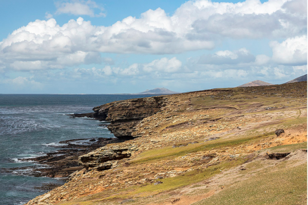 Volver a Malvinas