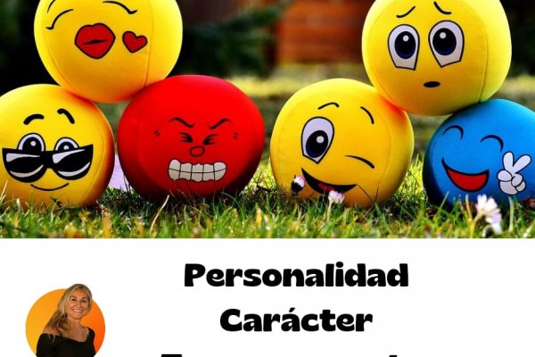 Diferencia entre personalidad, carácter y temperamento. -Desarrollo Humano-