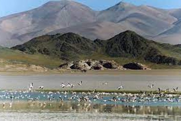 Descubre las Maravillas Ocultas de Catamarca: Un Destino de Naturaleza y Cultura