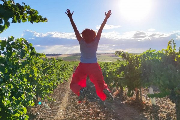 En septiembre y octubre el enoturismo dejará 3,5M de euros en la Ruta del Vino de Rueda