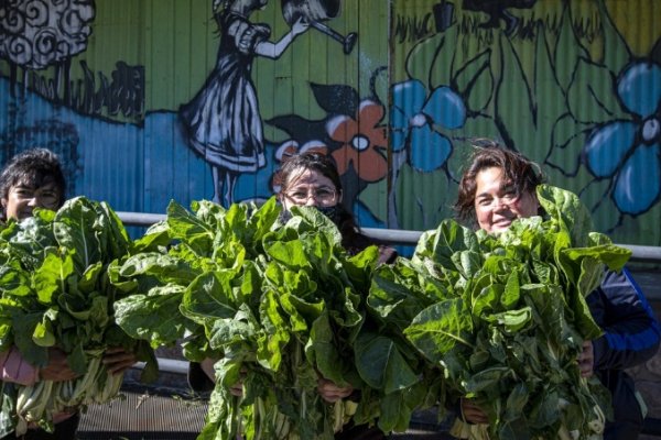 La agroecología, un camino hacia la agricultura sustentable