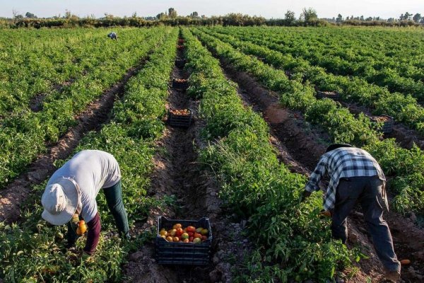 La agroecología, un camino hacia la agricultura sustentable