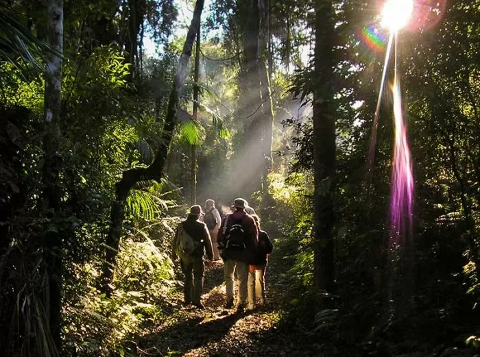 Escapadas: el all inclusive en plena selva virgen de Iguazú que tenés que conocer