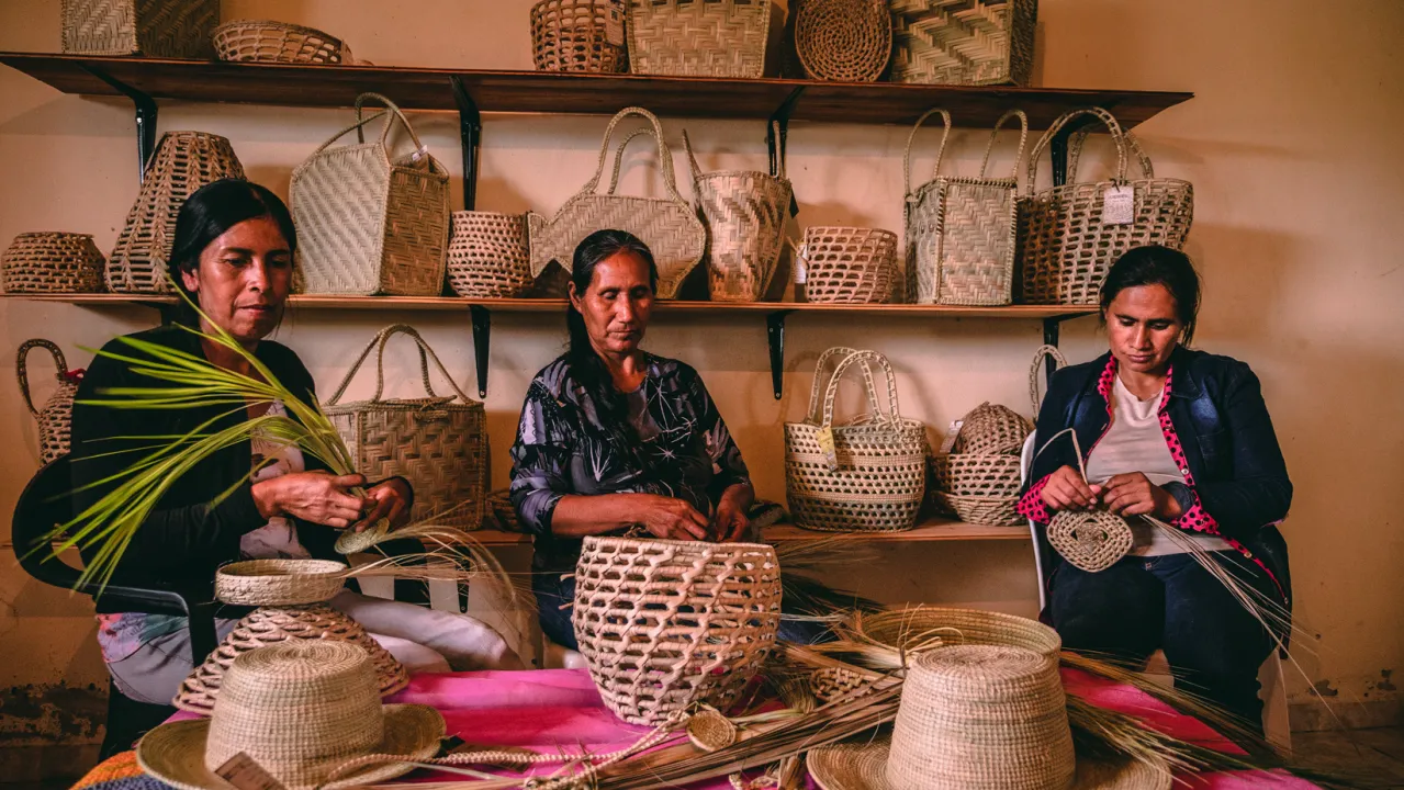 Arte, gastronomía, esparcimiento y naturaleza: lugares y actividades para hacer en el Chaco