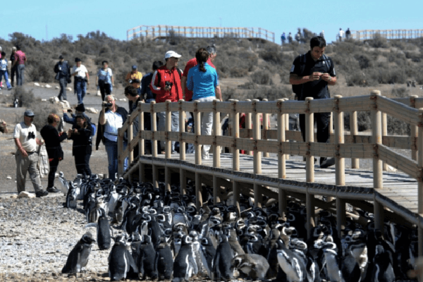 Chubut presentará sus atractivos turísticos en Brasil