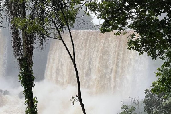 Cataratas del Iguazú: tras los daños ocasionados por la crecida del río, estiman que la Garganta del Diablo estará habilitada recién el año que viene