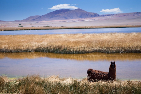 Qué hacer en Catamarca: los 5 atractivos más visitados e imperdibles de toda la provincia