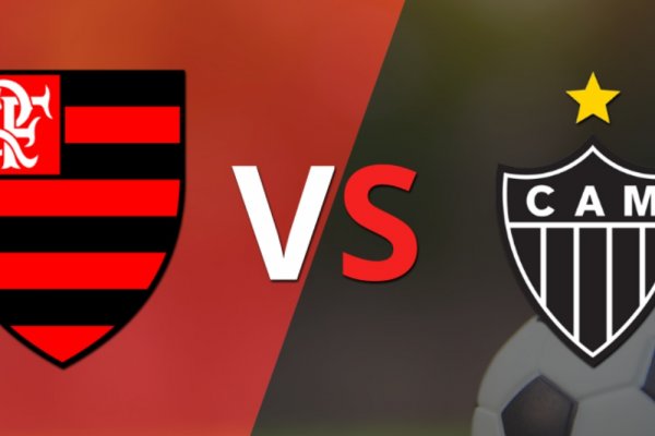 Brasil - Brasileirao: Flamengo vs Atlético Mineiro Fecha 36