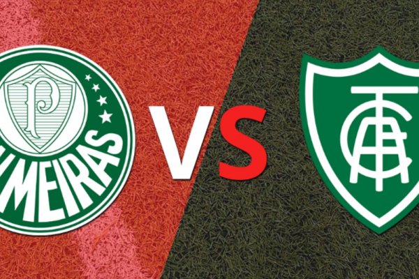 Brasil - Brasileirao: Palmeiras vs América-MG Fecha 36