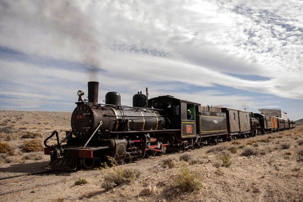 Uno de los trenes más emblemáticos de Argentina ahora es pet friendly