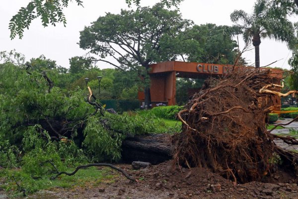 Argentina: temporal causa la muerte de al menos 14 personas