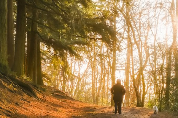 Los increíbles poderes de caminar 30 minutos al día en ayunas